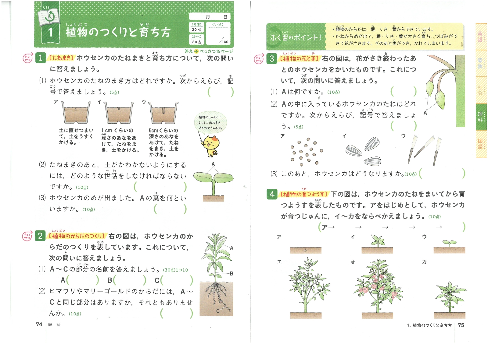 楽天ブックス 小3 全科の復習テスト 小学教育研究会 本