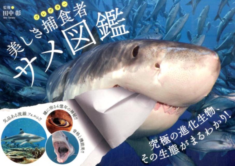楽天ブックス 美しき捕食者サメ図鑑 田中彰 本