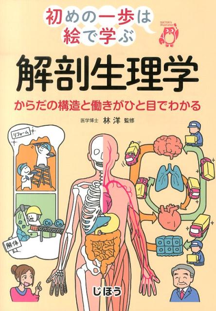 楽天ブックス 解剖生理学 からだの構造と働きがひと目でわかる 林洋 内科学 本