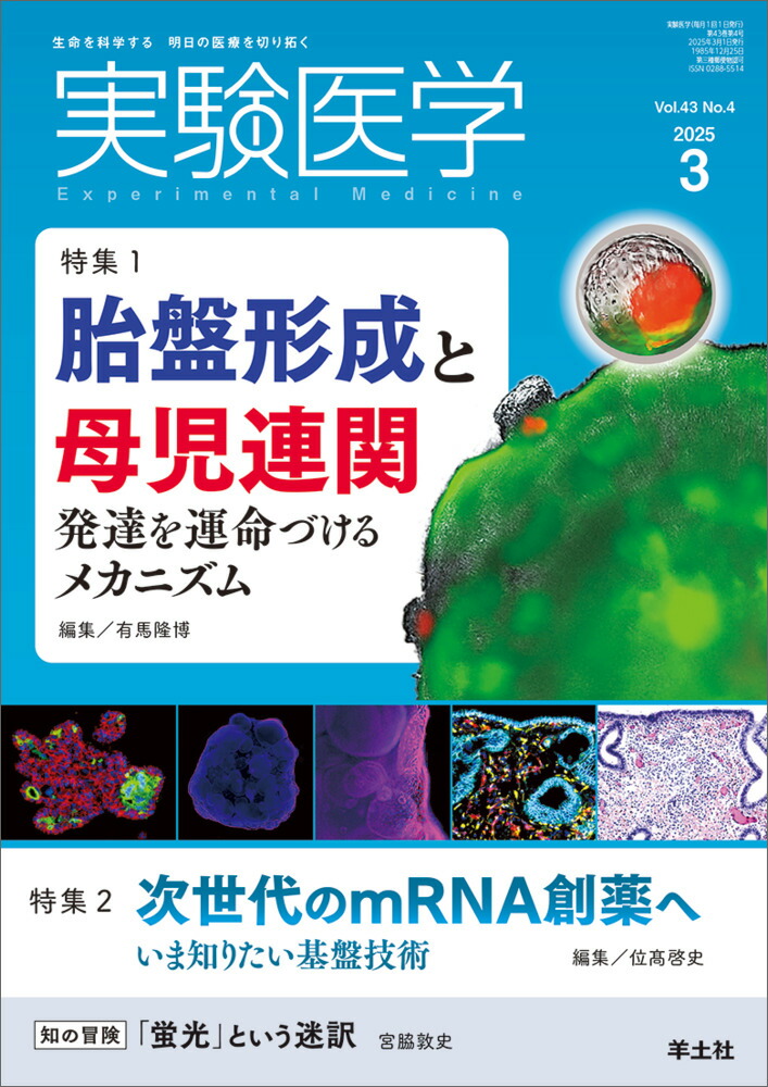 ¸2025ǯ3[ͭδ]