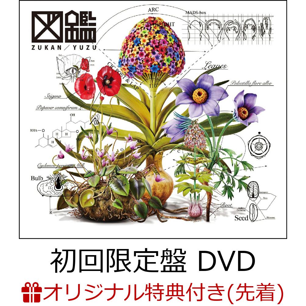 初回限定【楽天ブックス限定配送パック】【楽天ブックス限定先着特典】図鑑 (初回生産限定盤 CD＋DVD)(クリアポーチ)