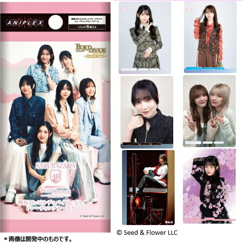 ӥǥХ-֥饤ȡ֡ѥåݯ46ߥӥǥХ-֥饤ȡȥ졼ǥ󥰥ɥ20ѥåBOX