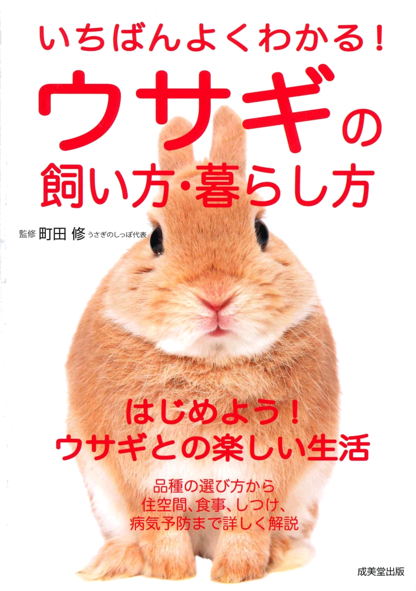 楽天ブックス いちばんよくわかる ウサギの飼い方 暮らし方 町田 修 本