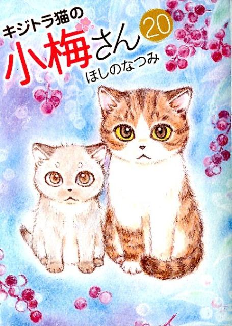 キジトラ猫の小梅さん 1～26巻セット