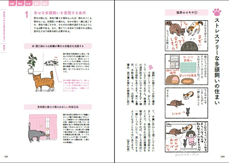 楽天ブックス 歳まで猫が元気に長生きできる住まい 建築知識特別編集 本