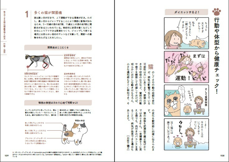 楽天ブックス 歳まで猫が元気に長生きできる住まい 建築知識特別編集 本