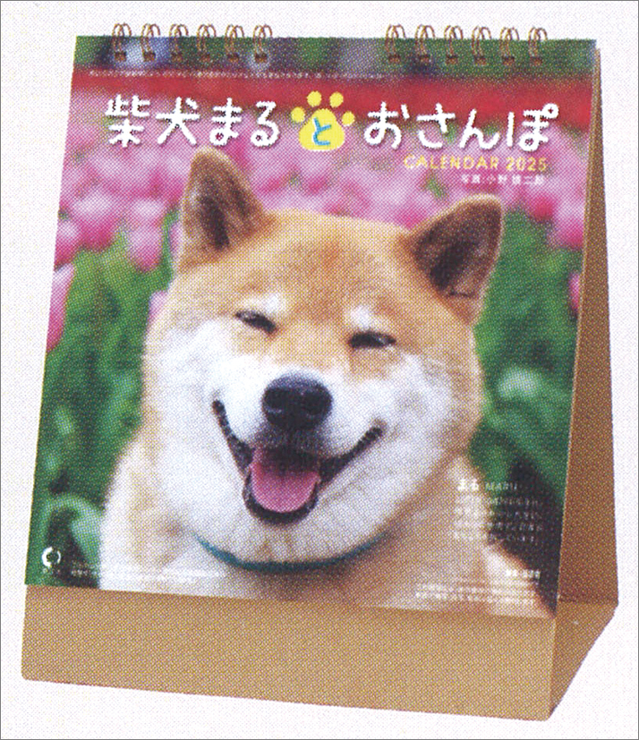 卓上 柴犬まるとおさんぽ（2025年1月始まりカレンダー）