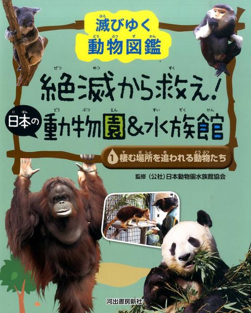 楽天ブックス: 1 棲む場所を追われる動物たち - 滅びゆく動物図鑑