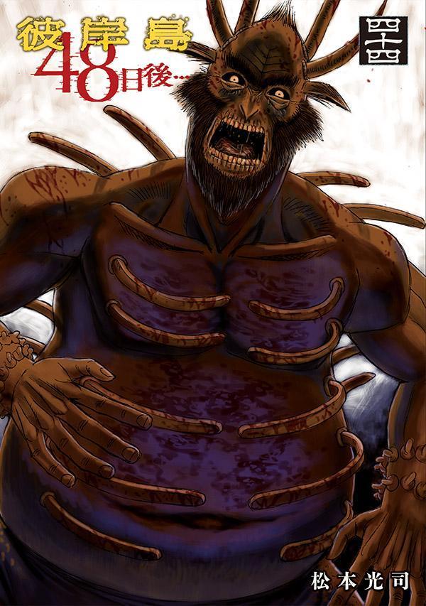 �����48����ġ�44�ˡʥ��ޥ�KC���ڥ�����[���ܸ���]