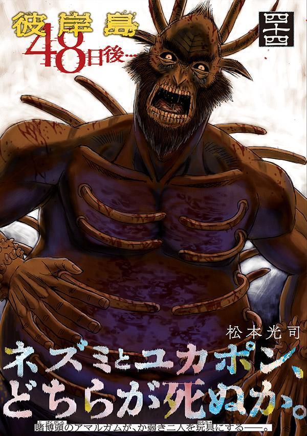 �����48����ġ�44�ˡʥ��ޥ�KC���ڥ�����[���ܸ���]