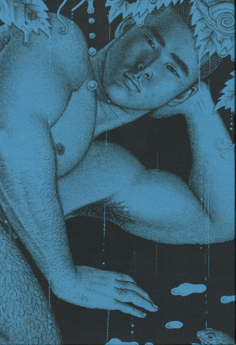 楽天ブックス 日本のゲイ エロティック アートvol 2 ゲイのファンタジーの時代的変遷 田亀 源五郎 本