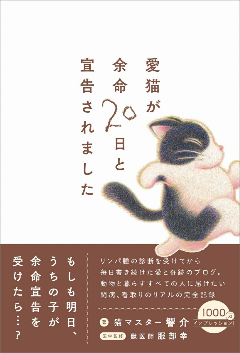 愛猫が余命20日と宣告されました画像
