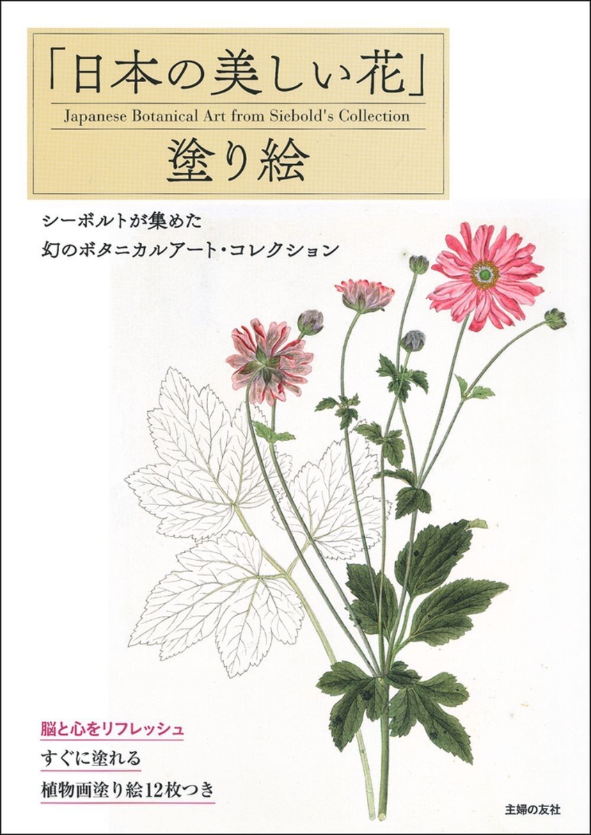 楽天ブックス 日本の美しい花 塗り絵 主婦の友社 本