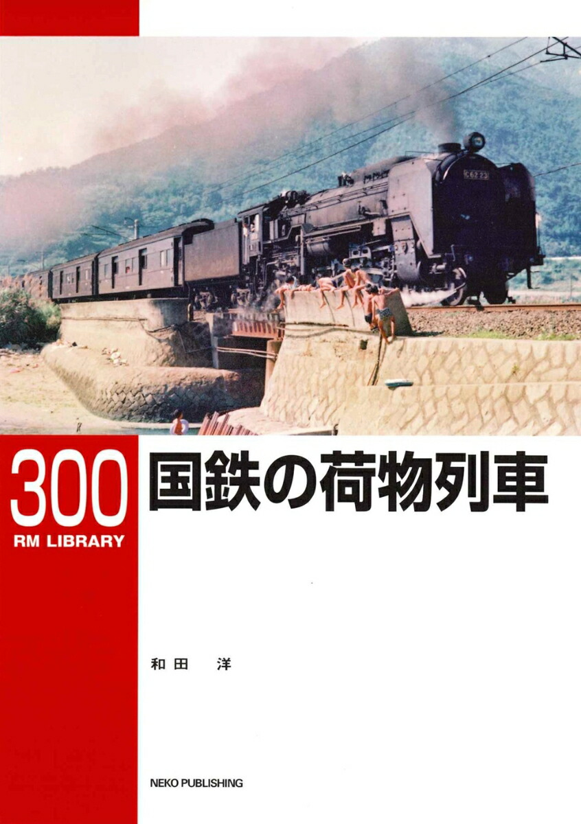 RM饤֥꡼300Ŵβʪ[]