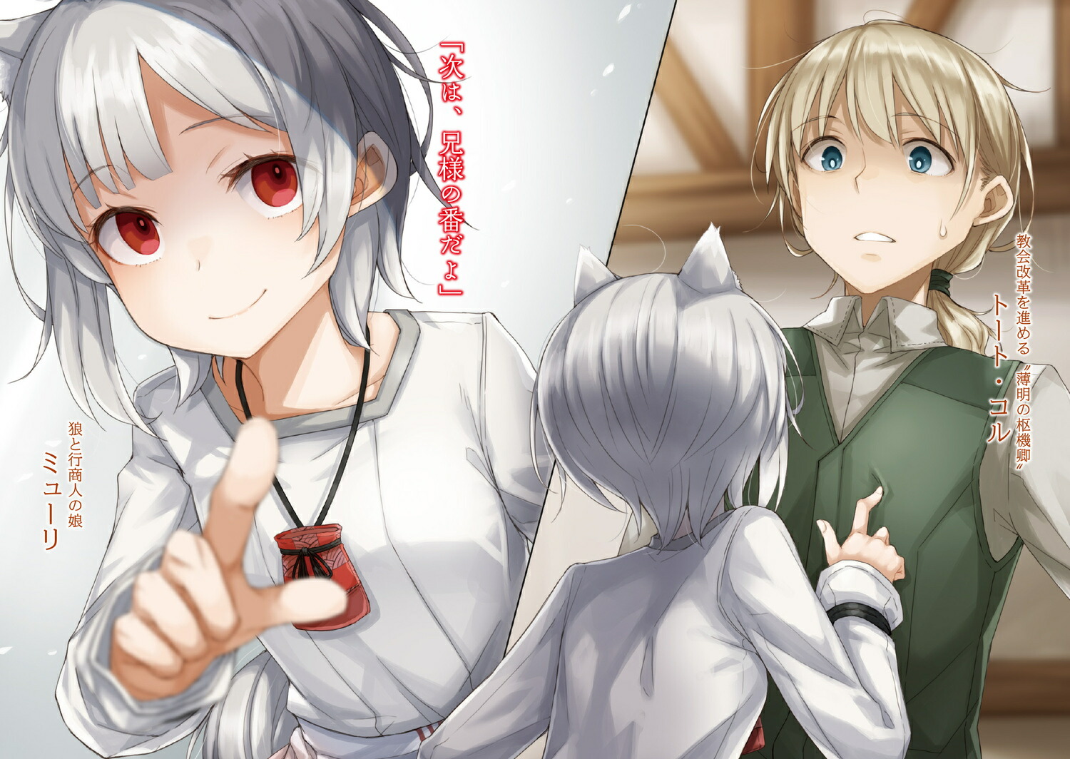 ����ϵ�ȹ����ϵ�������XIII�Ӥ����α�㲼���13�ˡ��ŷ�ʸ�ˡ�[�����ຽ]