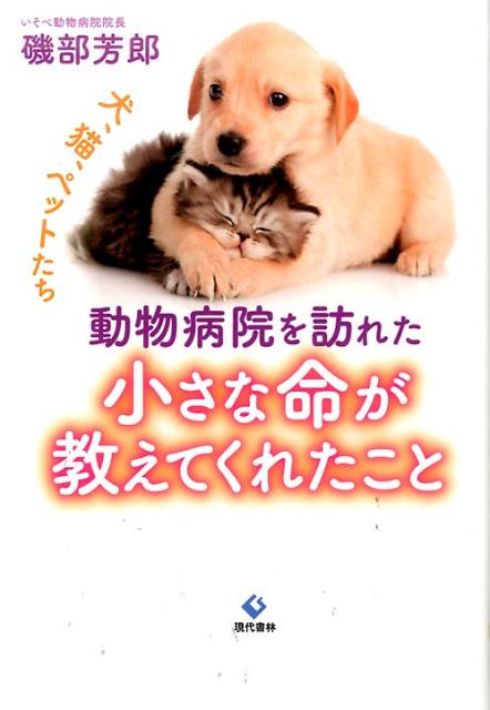 ưʪ�±���ˬ�줿������̿�������Ƥ��줿����[����˧Ϻ]