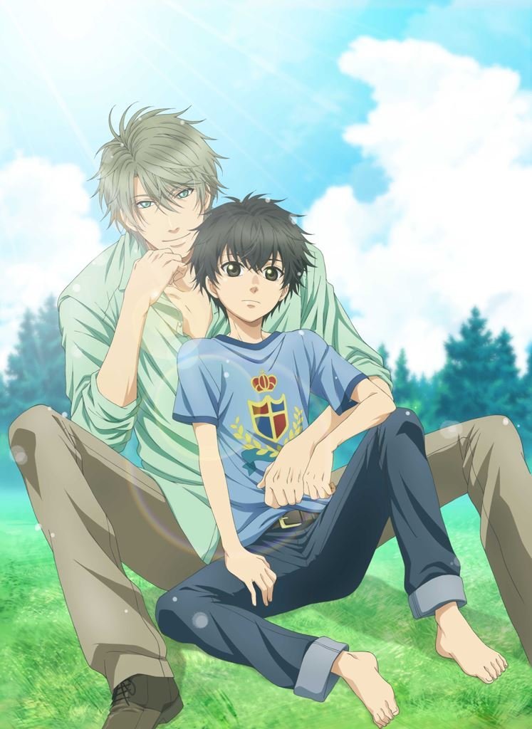 (未使用･未開封品)　SUPER LOVERS 第4巻 限定版 [DVD] 0pbj0lf 楽天ブックス: SUPER LOVERS 第4巻 - 石平信司 - 皆川純子