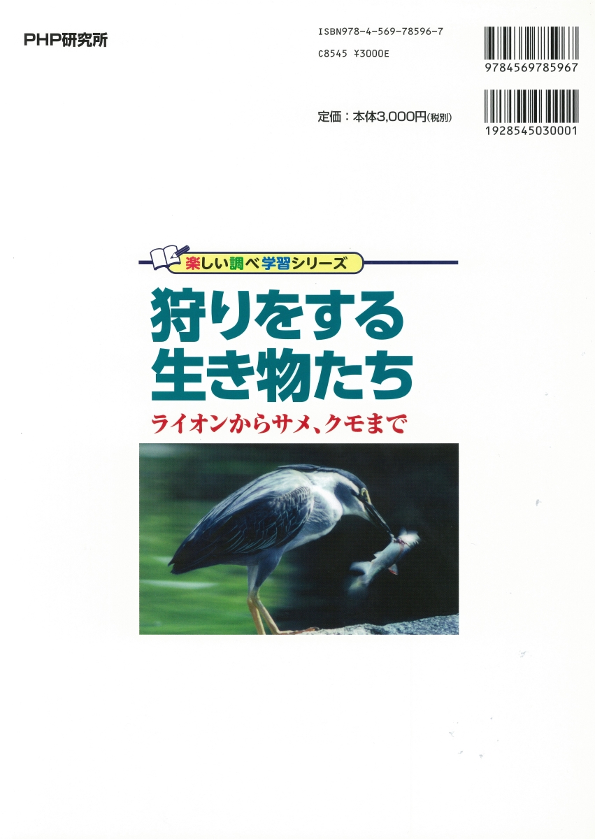 楽天ブックス 狩りをする生き物たち ライオンからサメ クモまで 今泉忠明 本