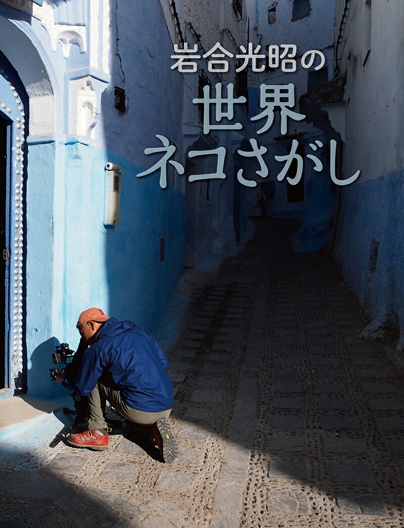 岩合光昭の世界ネコさがし[岩合光昭]