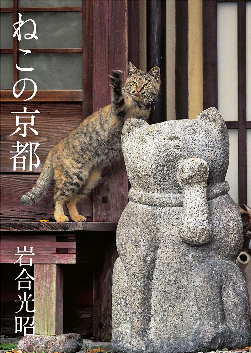 写真文庫ねこの京都[岩合光昭]