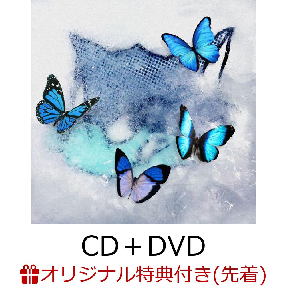 楽天ブックス: 【楽天ブックス限定先着特典】Frozen Butterfly 