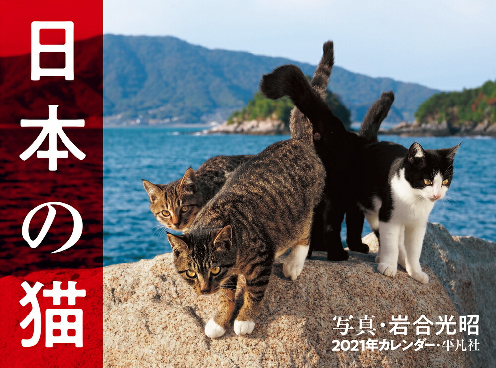 楽天ブックス 21年カレンダー 日本の猫 岩合 光昭 本