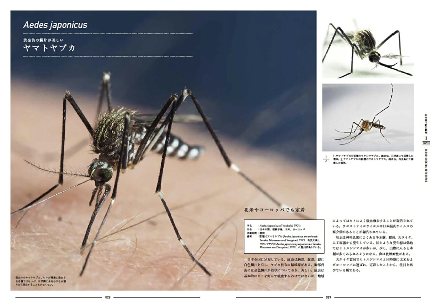 図説世界の吸血動物[浅川満彦]