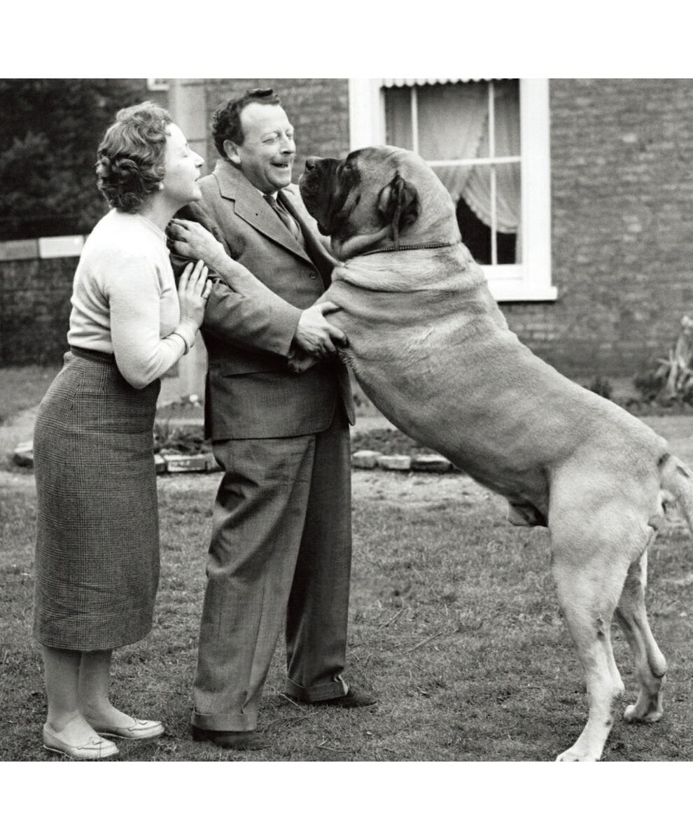 楽天ブックス 犬が教えてくれたほんとうに大切なこと シンシア L コープランド 本