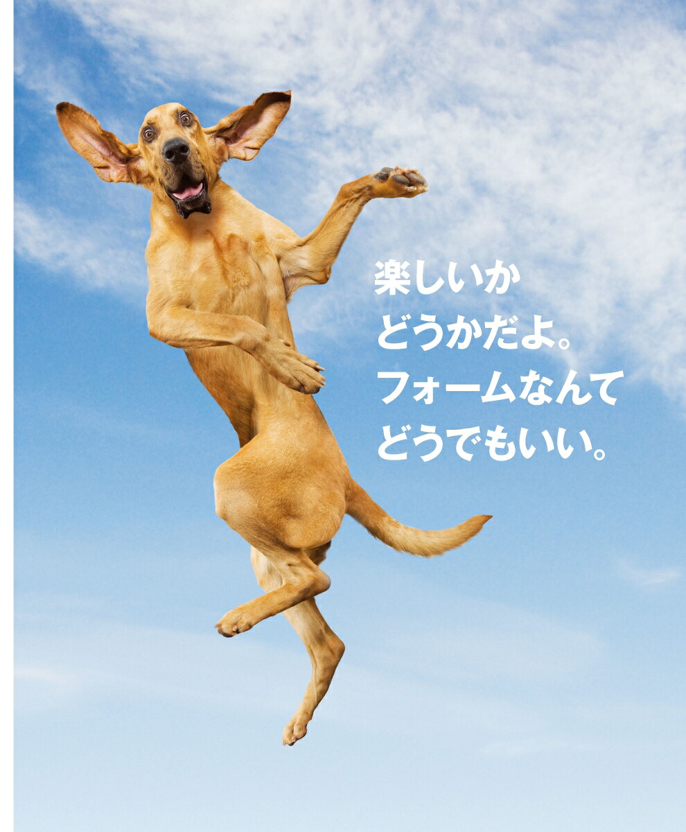 楽天ブックス 犬が教えてくれたほんとうに大切なこと シンシア L コープランド 本