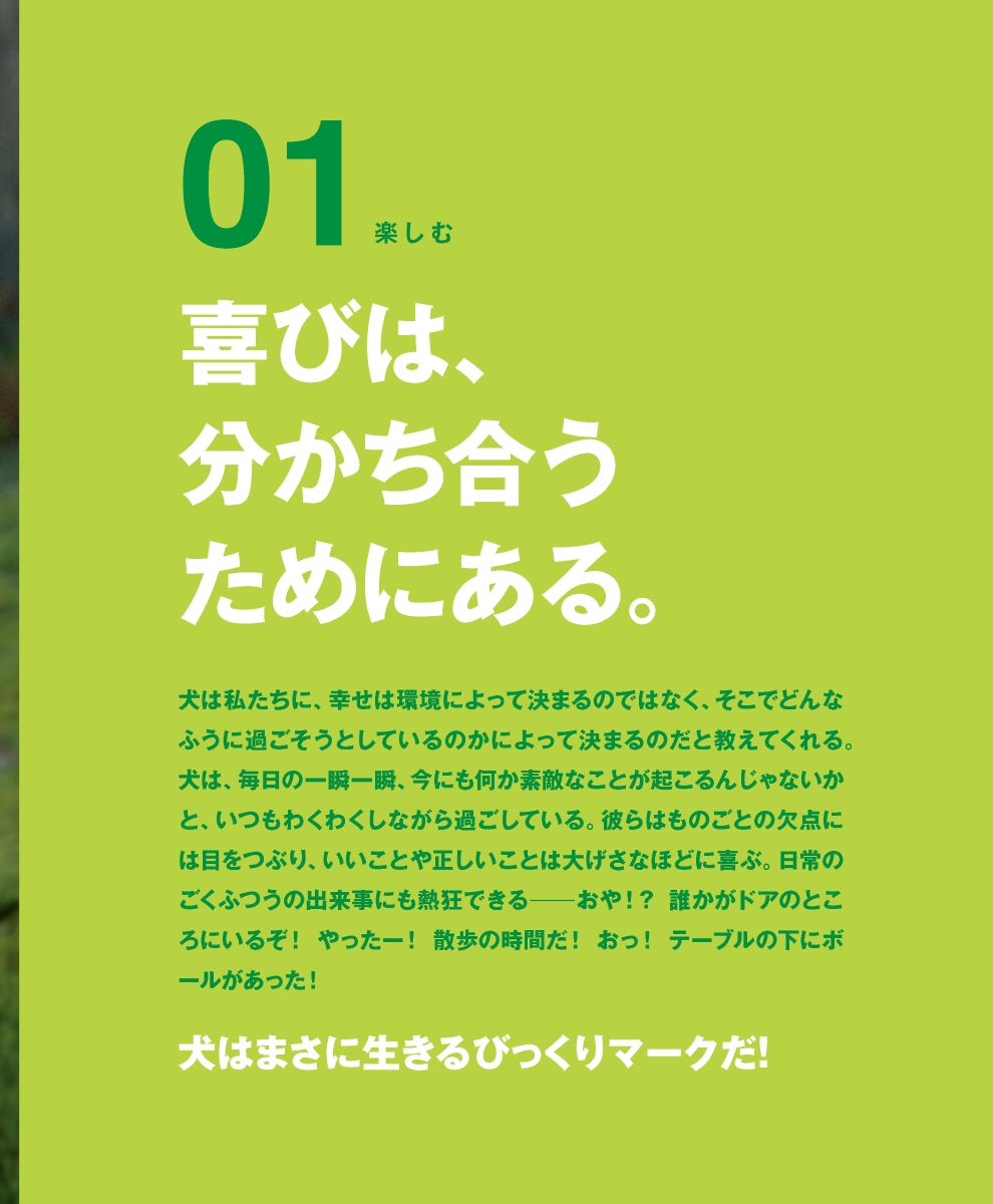 楽天ブックス 犬が教えてくれたほんとうに大切なこと シンシア L コープランド 本