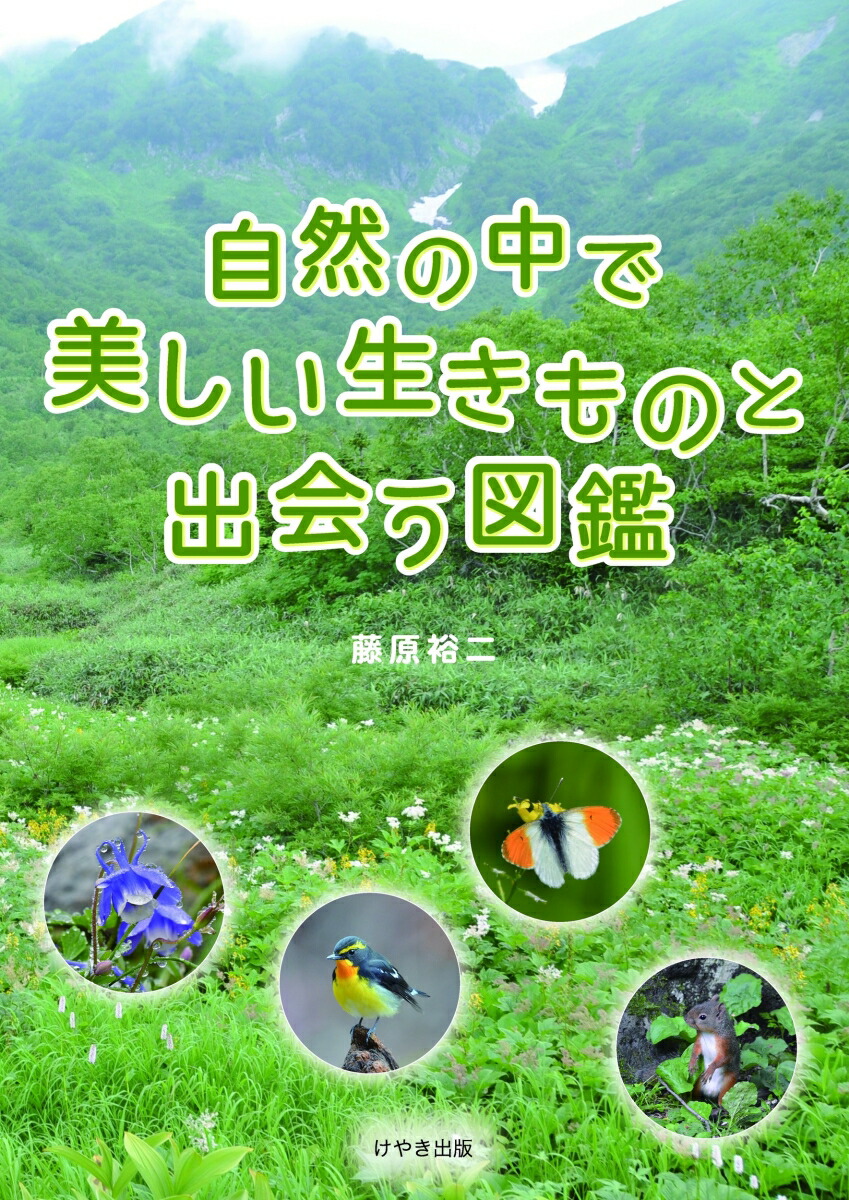 夢を育む知のミュージアム　世界の図書館 夢を育む知のミュージアム『世界の図書館』 | 塚原正彦, 柳鍾珌