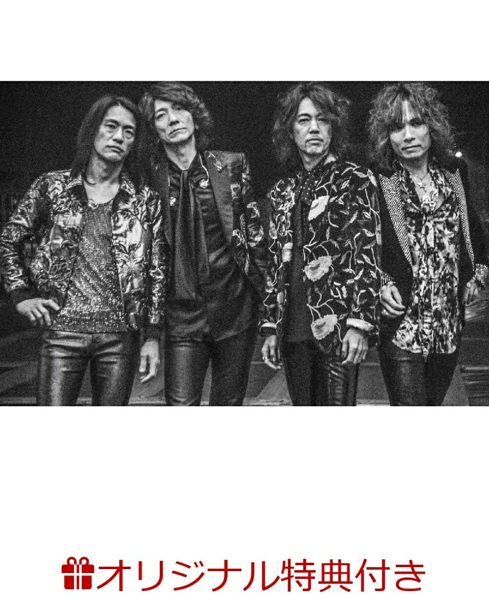 【楽天ブックス限定特典】THEYELLOWMONKEY偉大なる復活PhotographsbyMITCHIKEDA(ポストカード)[MITCHIKEDA]