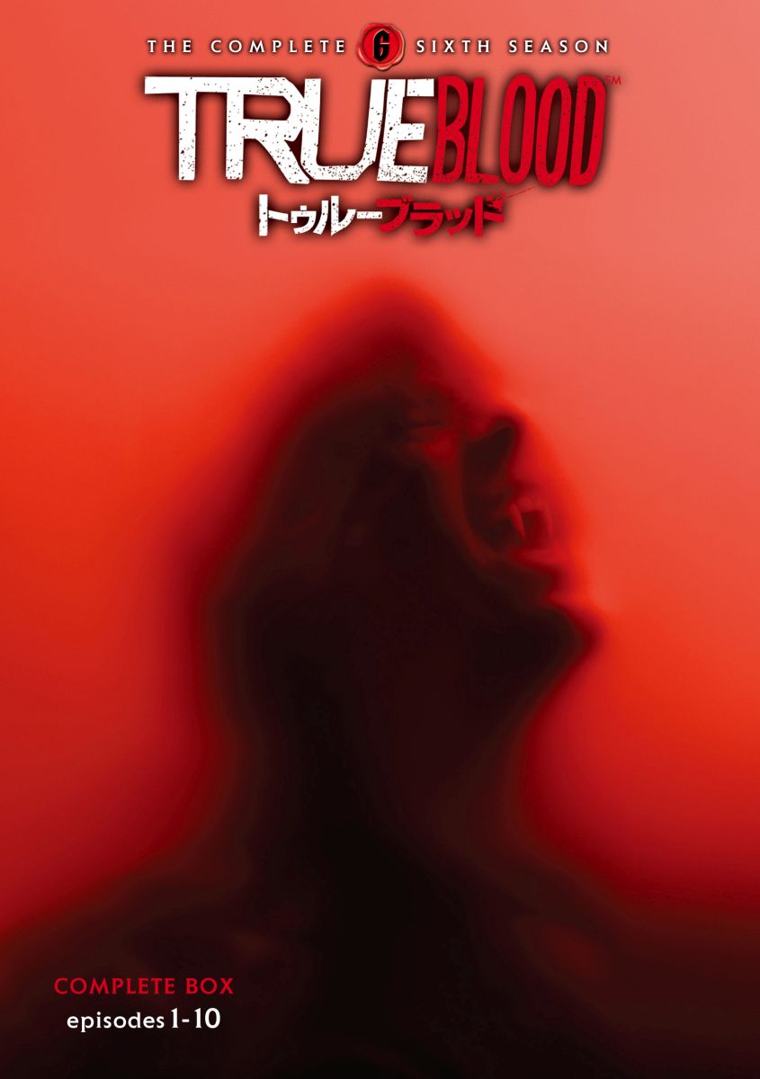 ȥ롼֥åɡ㥷å䥳ץ꡼ȡܥå[ʡѥ]