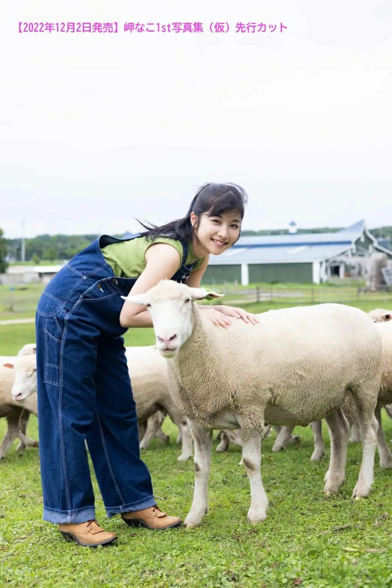 ڳŷ֥åŵ̨ʤ1st̿ʤΤȤʤ(֥ޥ)[̨ʤ]