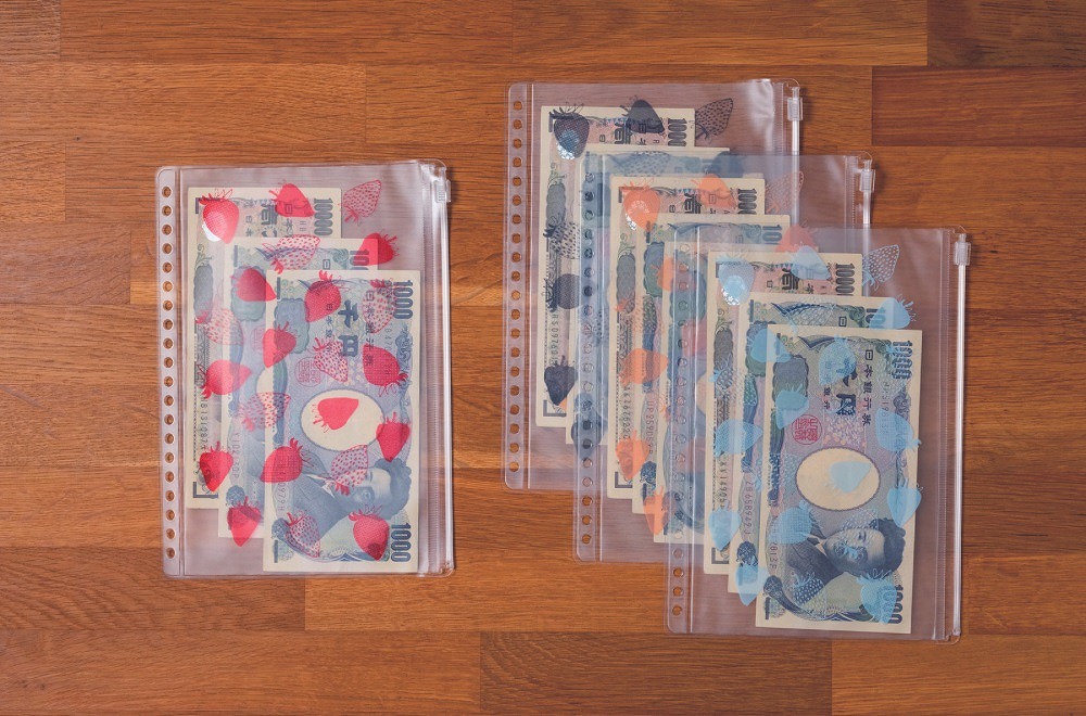 お金が貯まる!づんの家計簿A5バインダーポーチBOOK（TJMOOK）[づん]
