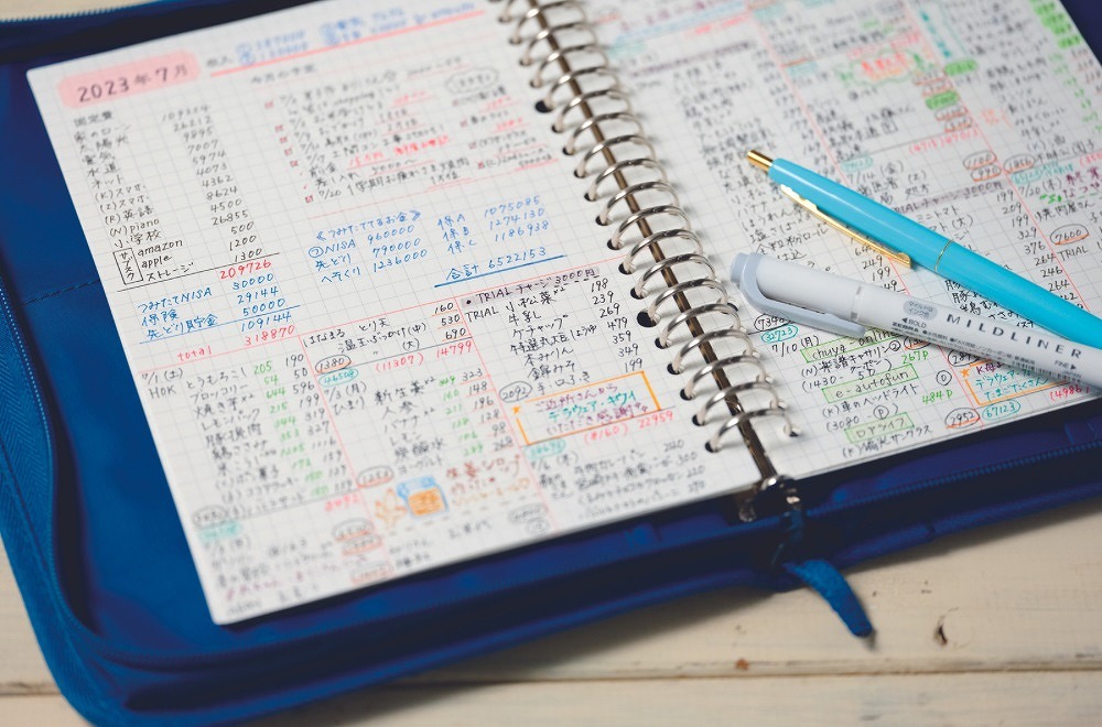 お金が貯まる!づんの家計簿A5バインダーポーチBOOK（TJMOOK）[づん]
