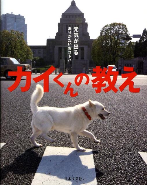 楽天ブックス カイくんの教え 元気が出るありがたいおコトバ 本