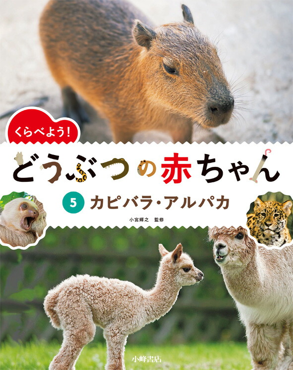 楽天ブックス 5カピバラ アルパカ くらべよう どうぶつの赤ちゃん 小宮輝之 本