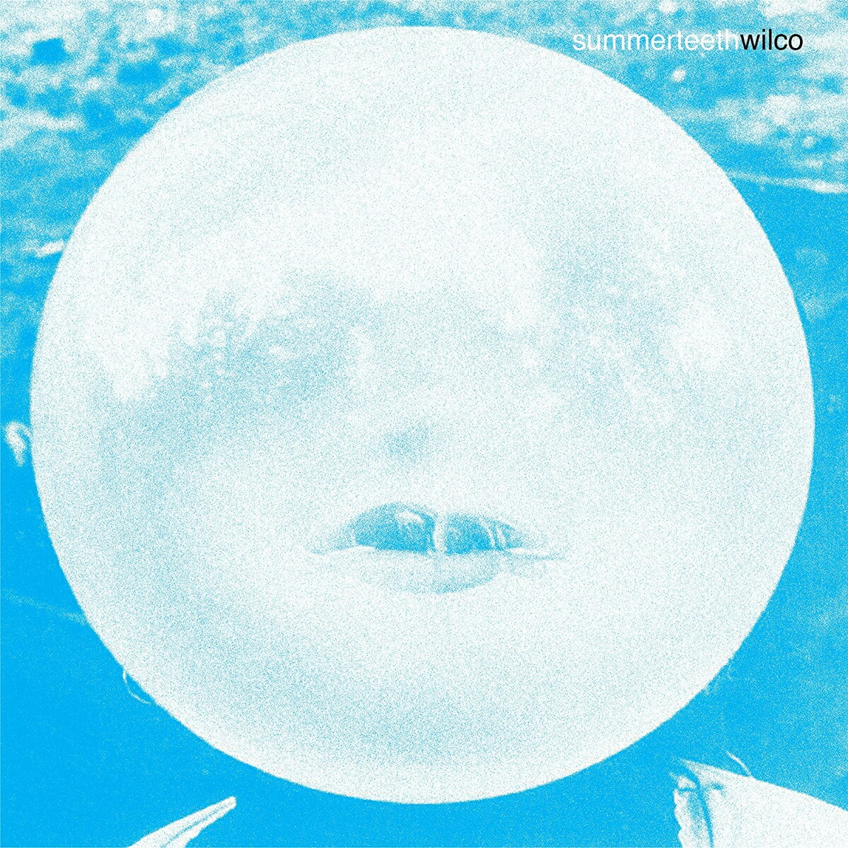 ブックス: 【輸入盤】サマーティース（デラックス・エディション） - WILCO - 0603497846061 : CD
