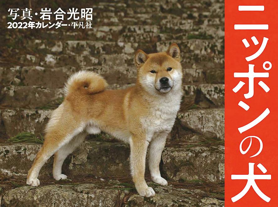 楽天ブックス 22年カレンダー ニッポンの犬 岩合 光昭 本