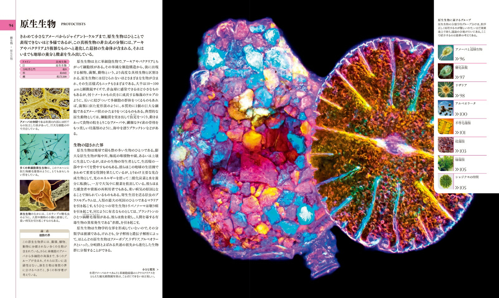 地球博物学大図鑑　新訂版 画像3