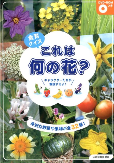 楽天ブックス 食育クイズこれは何の花 身近な野菜や果物が全32種 Dvd Romつき 少年写真新聞社 給食ニュース 編集部 本