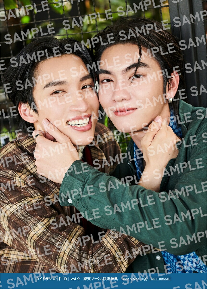 �ڳ�ŷ�֥å���������ŵ�ۥ����ɥ�ޥ����ɡ�D��vol.9(2LȽ�֥��ޥ���4���ॳ��ץ꡼�ȥ��å�)