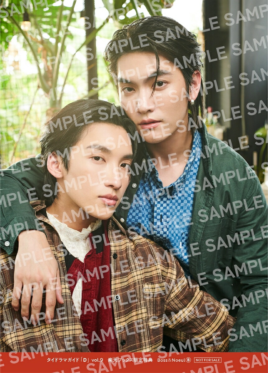 �ڳ�ŷ�֥å���������ŵ�ۥ����ɥ�ޥ����ɡ�D��vol.9(2LȽ�֥��ޥ���4���ॳ��ץ꡼�ȥ��å�)