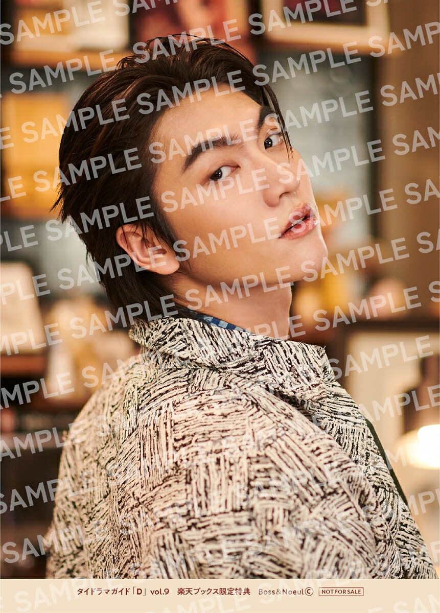 �ڳ�ŷ�֥å���������ŵ�ۥ����ɥ�ޥ����ɡ�D��vol.9(2LȽ�֥��ޥ���4���ॳ��ץ꡼�ȥ��å�)