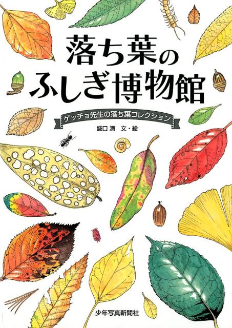 楽天ブックス 落ち葉のふしぎ博物館 ゲッチョ先生の落ち葉コレクション 盛口満 本