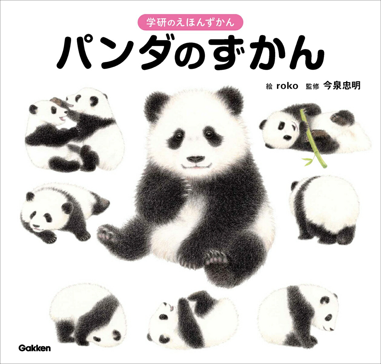 パンダのずかん（学研のえほんずかん3）[今泉忠明]