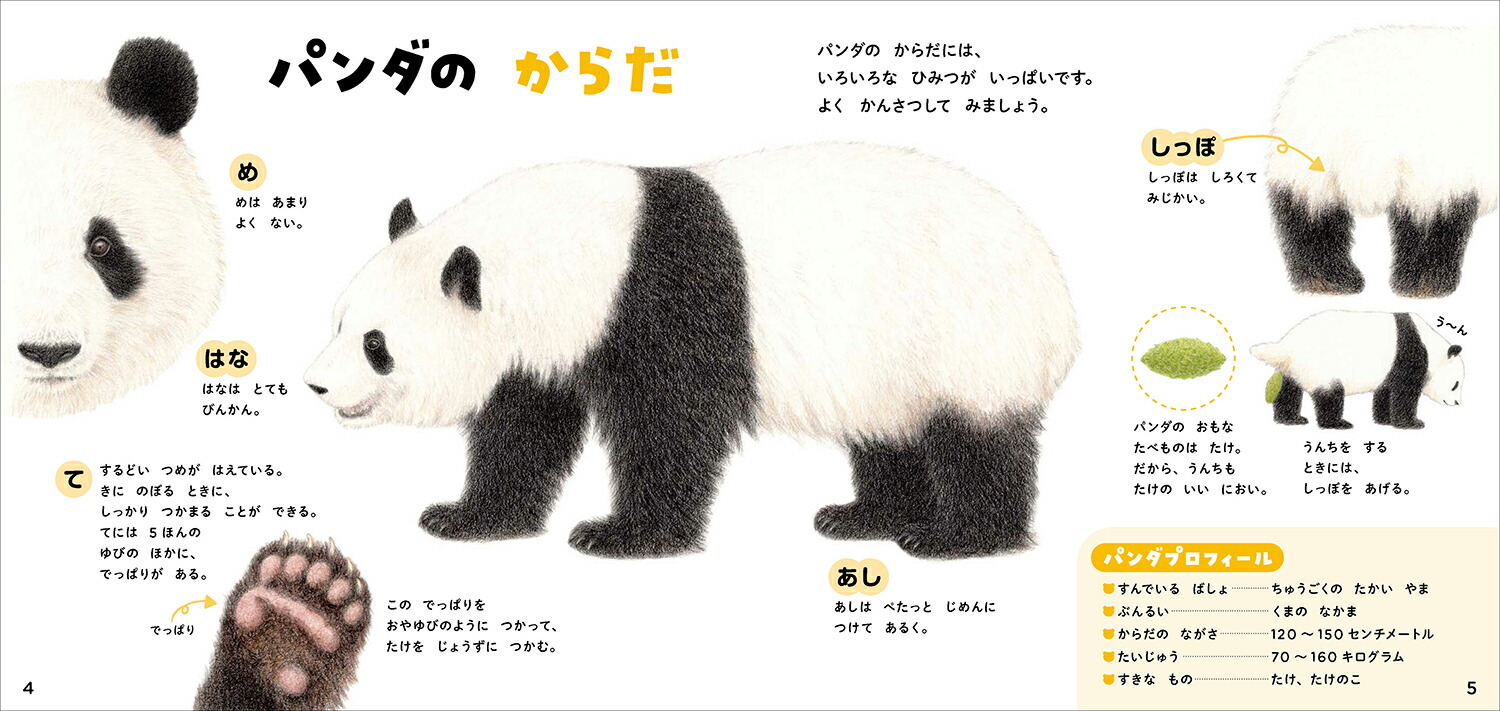 パンダのずかん（学研のえほんずかん3）[今泉忠明]