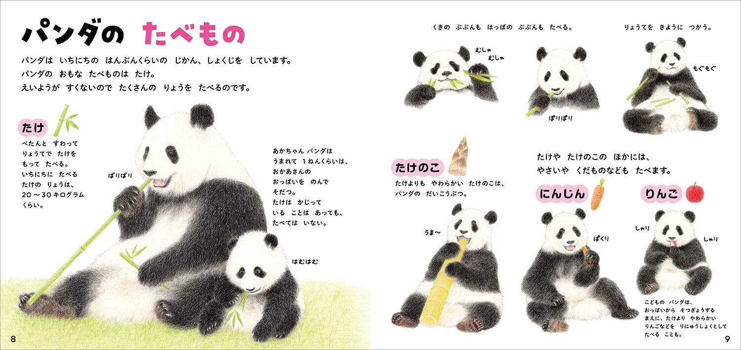 パンダのずかん（学研のえほんずかん3）[今泉忠明]