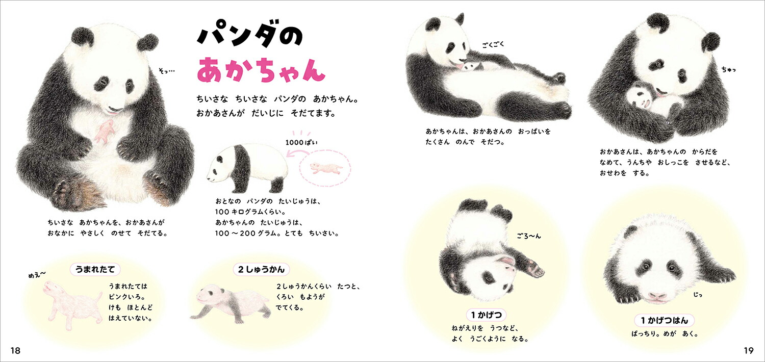 パンダのずかん（学研のえほんずかん3）[今泉忠明]